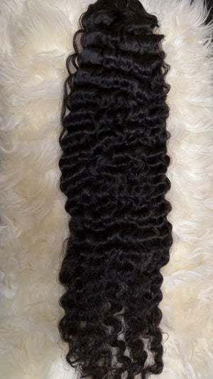 Burmese Curly