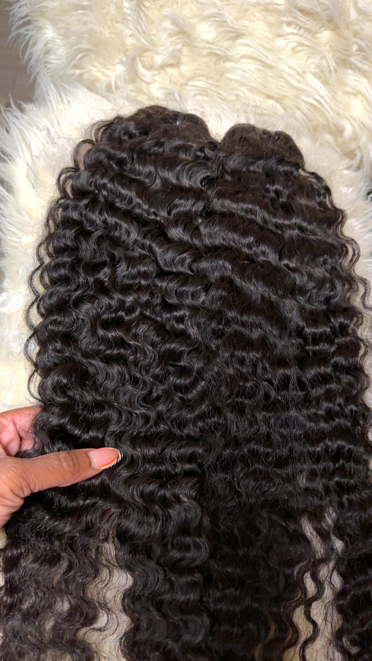 Burmese Curly